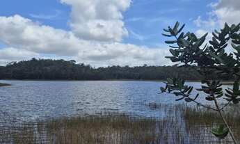 Imagem 6: TERRENO RURAL em CAMAÇARI - BA, AREMBEPE (ABRANTES
