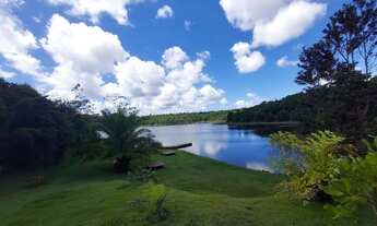 Imagem 3: TERRENO RURAL em CAMAÇARI - BA, AREMBEPE (ABRANTES
