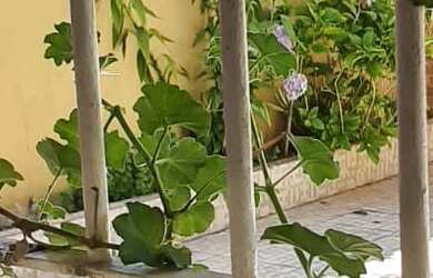 Imagem 6: CASA RESIDENCIAL em MONGAGUÁ - SP, Balneário Itaóca