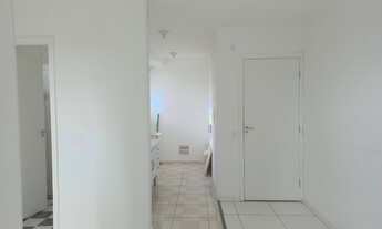 Imagem 4: Imperdível oferta de apartamento à venda em São Paulo-SP, Jardim João XXIII: 2 quartos, 1