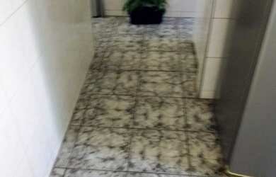 Imagem 5: Imperdível oportunidade de compra: Apartamento à venda em São Paulo-SP, Jardim Raposo Tava