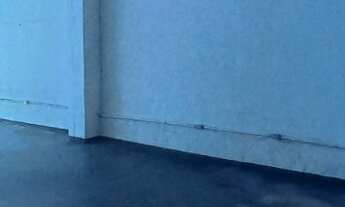 Imagem 6: SALAO COMERCIAL em SÃO PAULO - SP, PARQUE IPÊ