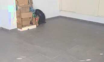 Imagem 4: Imperdível oportunidade: Casa à venda em São Paulo-SP, Jardim Guarau, 4 quartos, 1 suíte