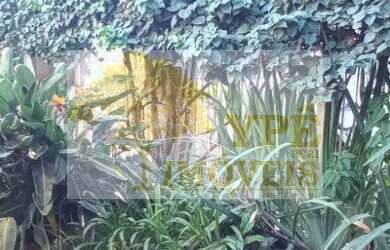 Imagem 5: Imperdível casa ampla à venda em São Paulo-SP: 4 quartos, 2 salas, 3 banheiros, 3 vagas de