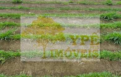 Imagem 3: Casa de luxo em condomínio: 4 quartos, 2 suítes, 3 salas, 5 banheiros, 2 vagas, 480m² em P