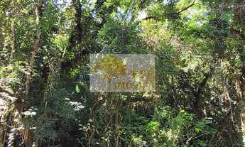 Imagem 7: Terreno à venda em Cotia-SP, Quinta dos Ângicos II com 5.737,00 m² - Oportunidade única!