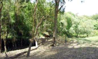 Imagem 6: TERRENO RESIDENCIAL em Ibiúna - SP, Rod. Bunjiro Nakao