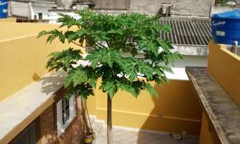 Imagem 2: CASA RESIDENCIAL em São Paulo - SP, Rio Pequeno