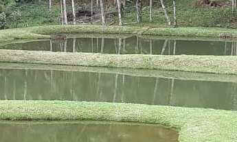 Imagem 6: SITIO RURAL em JUQUITIBA - SP, JUQUITIBA
