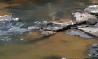 Imagem 7: SITIO RURAL em SÃO LOURENÇO DA SERRA - SP, SÃO LOURENÇO DA SERRA