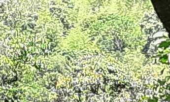 Imagem 6: SITIO RURAL em JUQUITIBA - SP, JUQUITIBA