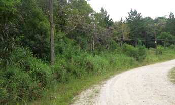 Imagem 2: TERRENO RURAL em Juquitiba - SP, Juquitiba