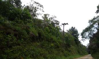 Imagem: TERRENO RURAL em Juquitiba - SP, Juquitiba