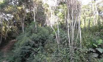 Imagem 2: TERRENO em Juquitiba - SP, Centro