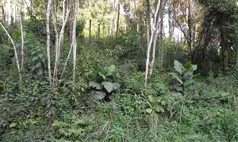 Imagem 3: TERRENO em Juquitiba - SP, Centro