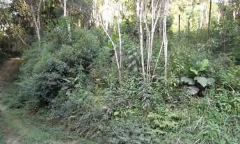 Imagem 4: TERRENO em Juquitiba - SP, Centro