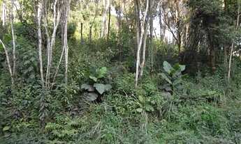 Imagem 5: TERRENO em Juquitiba - SP, Centro