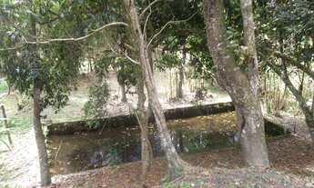 Imagem 2: SÍTIO em Juquitiba - SP, Juquitiba