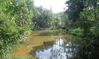 Imagem: SITIO RURAL em Juquitiba - SP, Juquitiba