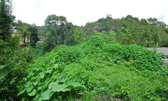 Imagem: TERRENO COMERCIAL em Juquitiba - SP, Juquitiba
