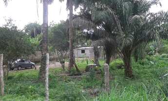 Imagem 4: TERRENO em Miracatu - SP, Miracatu