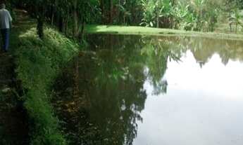 Imagem 3: SITIO RURAL em SÃO LOURENÇO DA SERRA - SP, SÃO LOURENÇO DA SERRA
