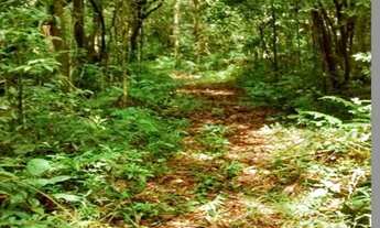 Imagem 5: SITIO RURAL em SÃO LOURENÇO DA SERRA - SP, SÃO LOURENÇO DA SERRA