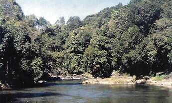 Imagem: TERRENO RURAL em Juquitiba - SP, Juquitiba