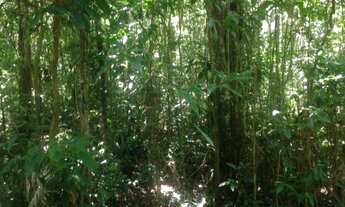 Imagem 3: TERRENO RESIDENCIAL em Juquitiba - SP, Juquitiba