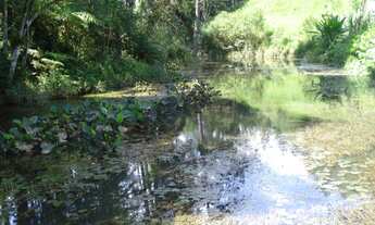 Imagem: SITIO RURAL em Juquitiba - SP, Juquitiba