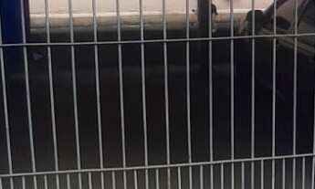 Imagem 2: APARTAMENTO RESIDENCIAL em São Paulo - SP, Cidade Nova Heliópolis