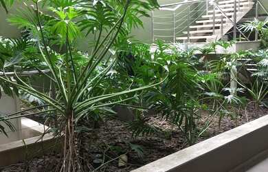 Imagem 5: APARTAMENTO RESIDENCIAL em SANTO ANDRÉ - SP, CENTRO