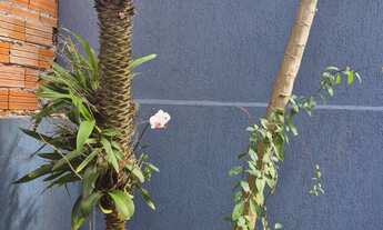 Imagem 6: CASA RESIDENCIAL em SÃO CAETANO DO SUL - SP, OSVALDO CRUZ