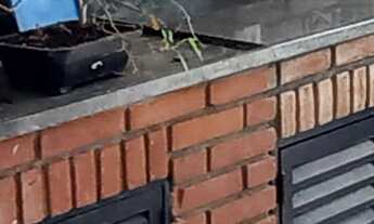 Imagem 2: CASA RESIDENCIAL em SÃO CAETANO DO SUL - SP, JARDIM SÃO CAETANO