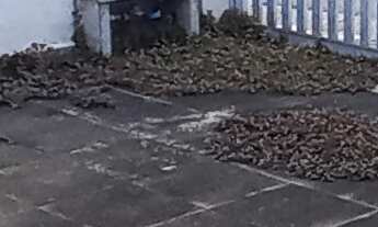 Imagem 5: CASA RESIDENCIAL em SÃO CAETANO DO SUL - SP, BOA VISTA