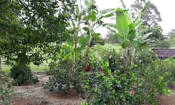 Imagem: CHACARA RESIDENCIAL em Araçoiaba da Serra