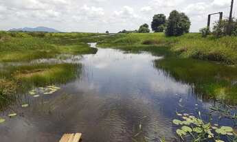 Imagem 3: FAZENDA RESIDENCIAL em DORES DE MACABU - RJ, DORES DE MACABU