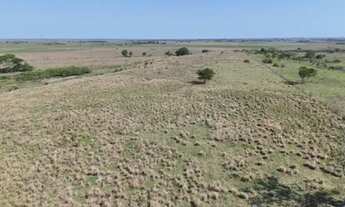 Imagem 5: AREA RURAL em DORES DE MACABU - RJ, PONTA DA LAMA