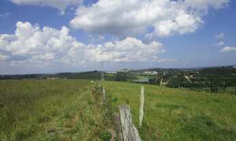 Imagem 5: 225000M² de Área Total