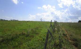 Imagem 6: 225000M² de Área Total