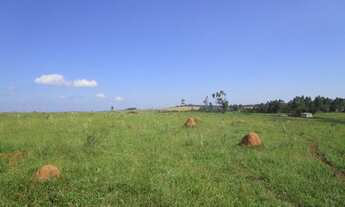 Imagem 7: 225000M² de Área Total