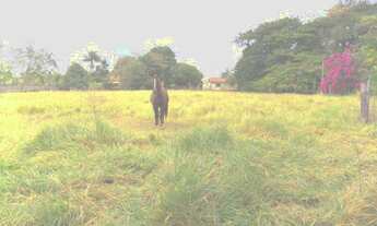 Imagem: 4000M² de Área Total