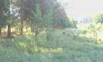 Imagem 3: 9500M² de Área Total