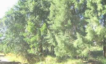 Imagem 4: 9500M² de Área Total