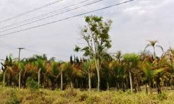 Imagem 2: 1000M² de Área Total