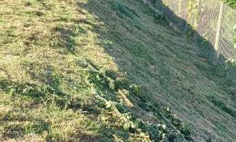 Imagem: 1000M² de Área Total