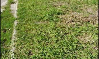 Imagem 2: 250M² de Área Total