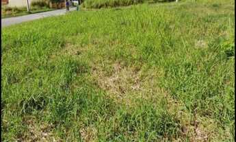 Imagem 3: 250M² de Área Total