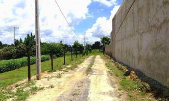 Imagem 4: 1000M² de Área Total