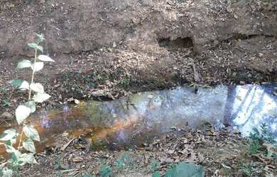 Imagem 5: 2 dormitórios, 1 banheiros, 5 vagas na garagem, 1000M² de Área Total